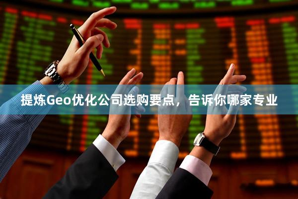提炼Geo优化公司选购要点，告诉你哪家专业