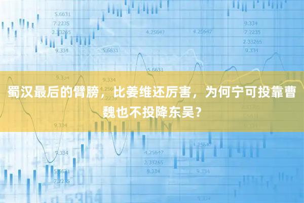 蜀汉最后的臂膀，比姜维还厉害，为何宁可投靠曹魏也不投降东吴？