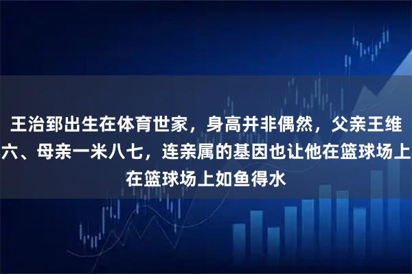 王治郅出生在体育世家，身高并非偶然，父亲王维军一米九六、母亲一米八七，连亲属的基因也让他在篮球场上如鱼得水