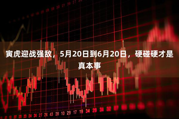 寅虎迎战强敌，5月20日到6月20日，硬碰硬才是真本事