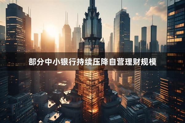 部分中小银行持续压降自营理财规模