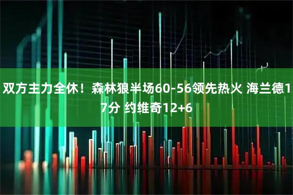双方主力全休！森林狼半场60-56领先热火 海兰德17分 约维奇12+6